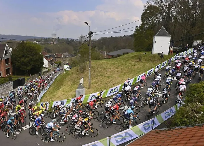 D'angelo アパート